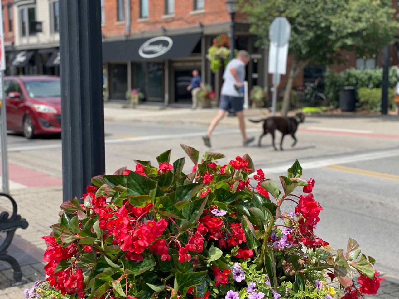 downtown Loveland in the evening